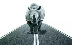 臣通觀點丨小心，中國產業(yè)園區(qū)的“灰犀牛”又來了！