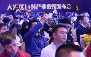 北京大興發(fā)布“1+N”產業(yè)政策
