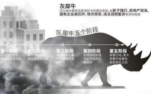 小心，中國產(chǎn)業(yè)園區(qū)的“灰犀牛”又來了！